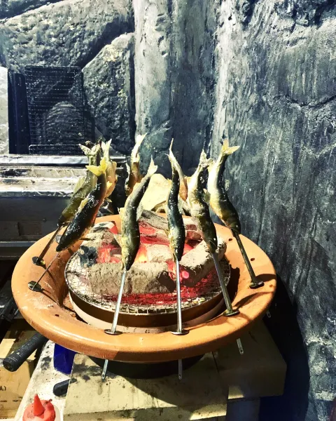 夏の鮎